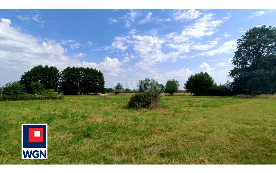 Działka rolna Jędrzychów