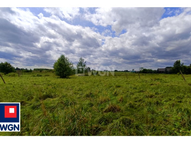 Działka rolna Chocianowiec