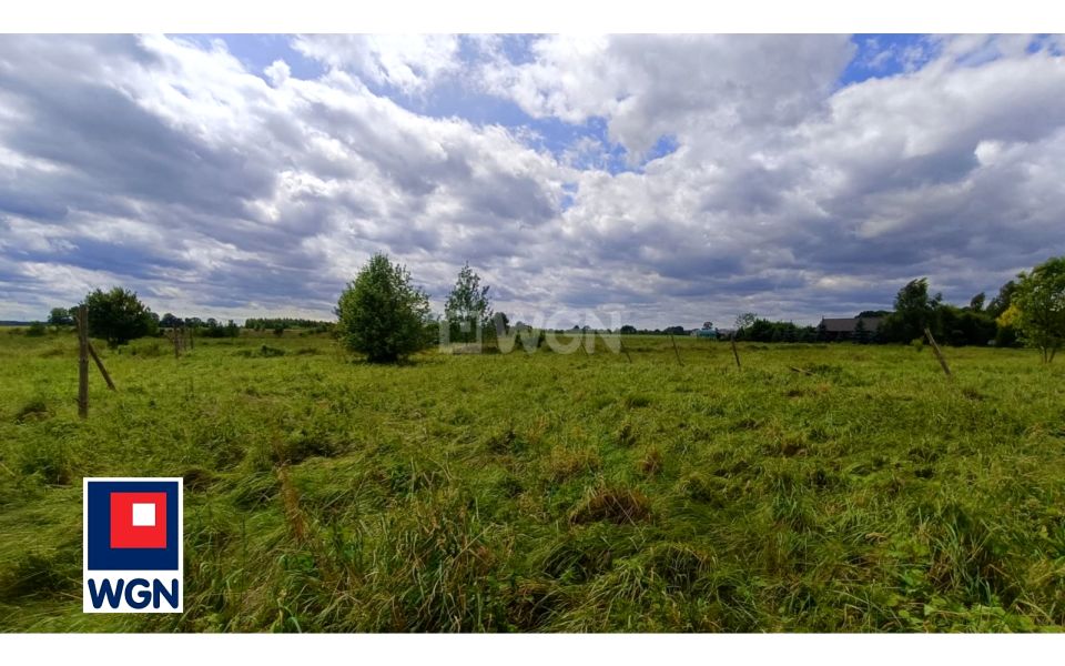 Działka rolna Chocianowiec