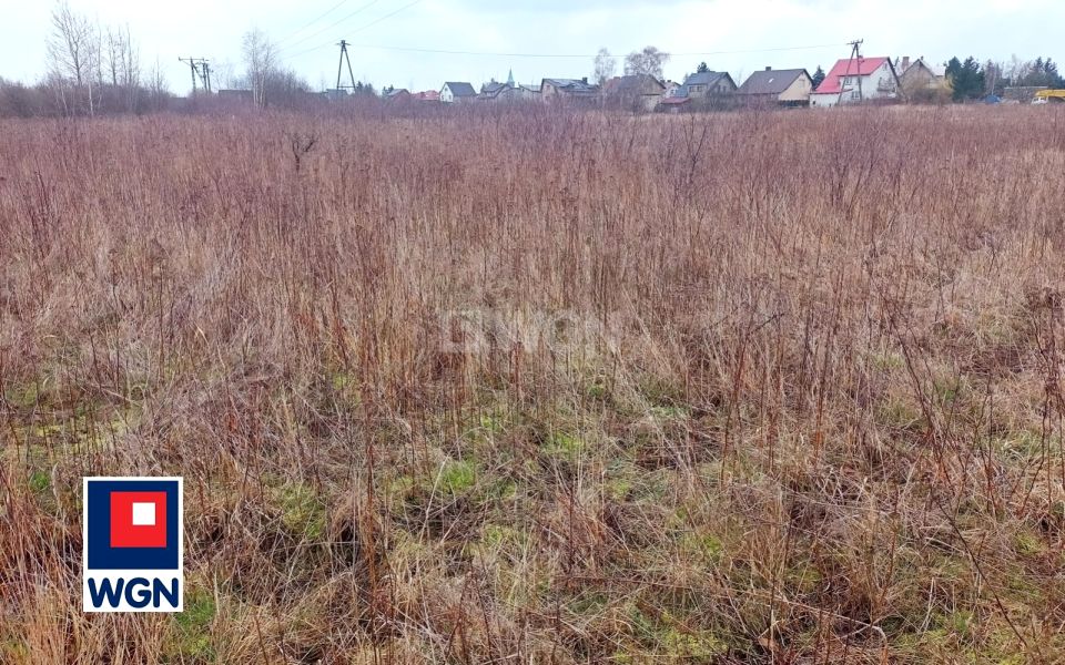 Działka budowlana Ścinawa