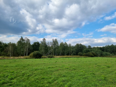 Działka siedliskowa Czernichów