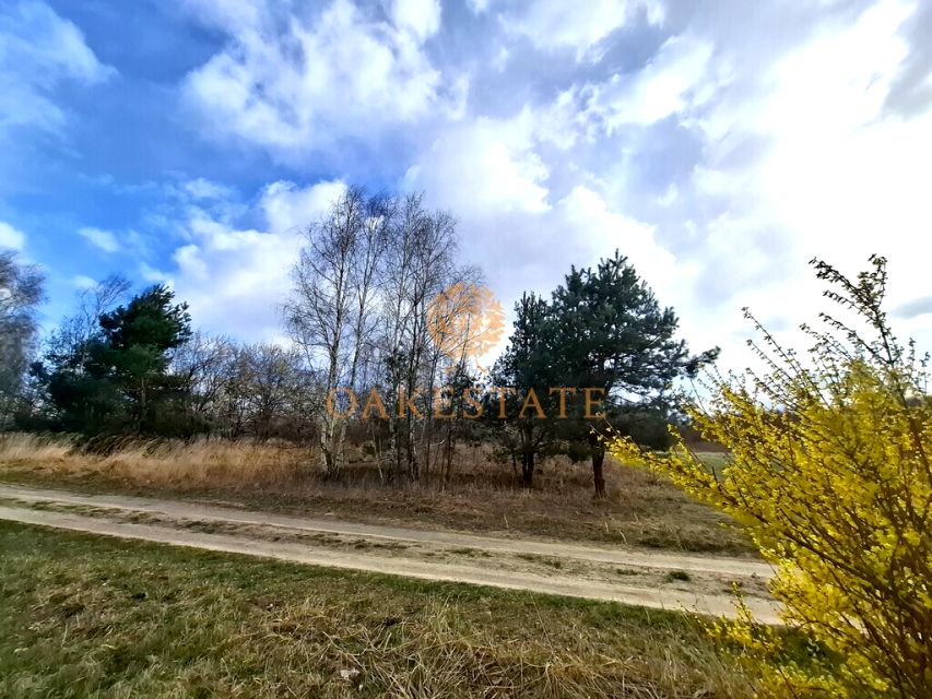 Działka rolna Skarżysko Kościelne sprzedam