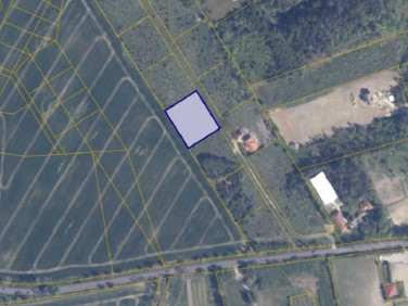 Działka rolna Warcz