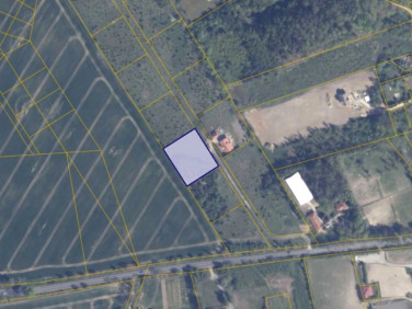 Działka rolna Warcz