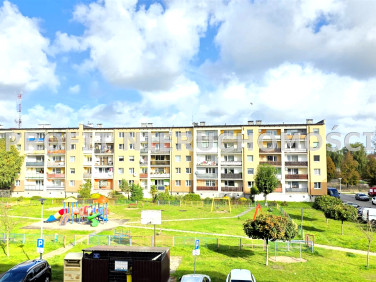 Mieszkanie Lębork sprzedaż