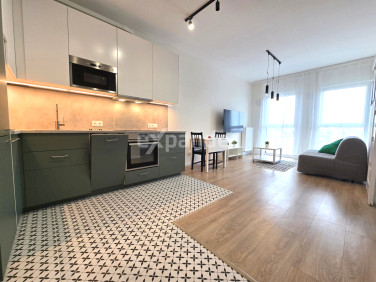 Mieszkanie Wrocław wynajem