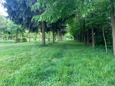 Działka budowlana Niemstów sprzedam