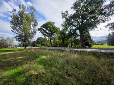 Działka usługowa Krzywaczka