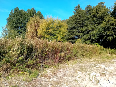 Działka usługowa Podolszyn Nowy