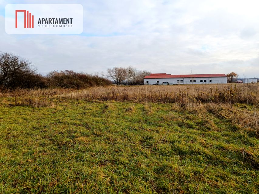 Działka rolna Brzezina