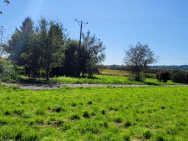 Działka Bolechowice