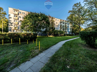 Mieszkanie Poznań