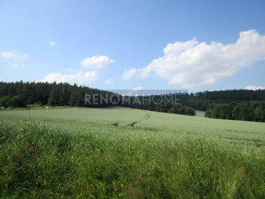 Działka Dzierżoniów