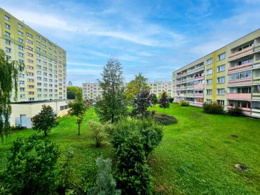 Mieszkanie Łódź