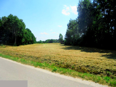 Działka budowlana Ruda sprzedam