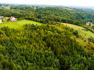 Działka rolna Zalasowa