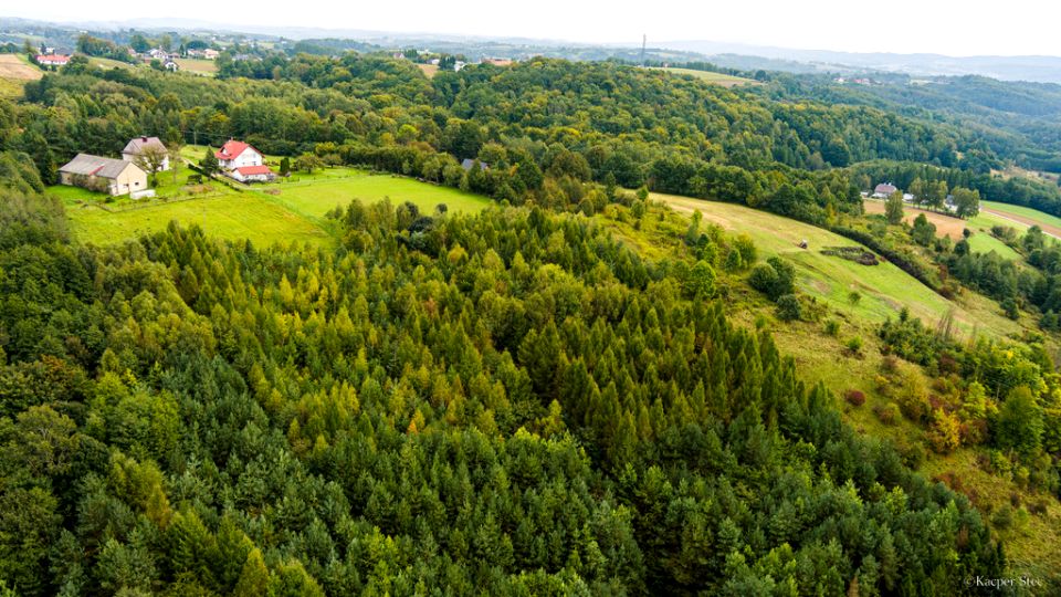 Działka rolna Zalasowa