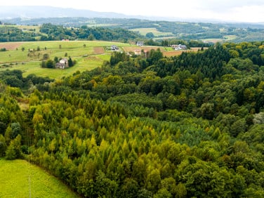 Działka Zalasowa