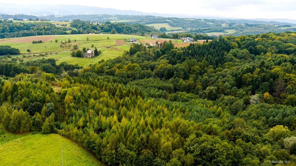 Działka Zalasowa