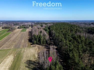 Działka leśna Łętownia