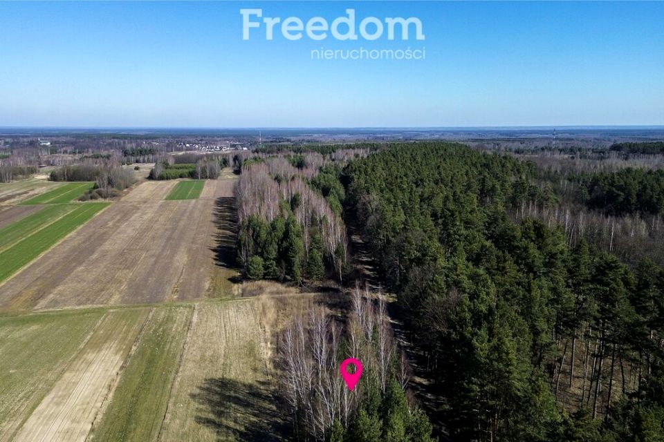 Działka leśna Łętownia