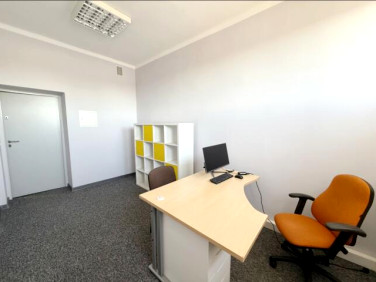 Lokal Opole