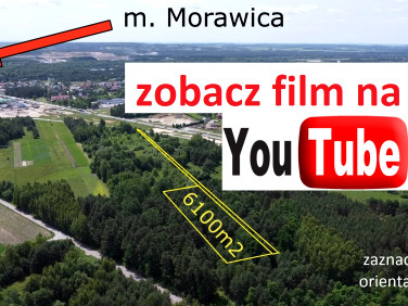 Zalesiona działka Brzeziny