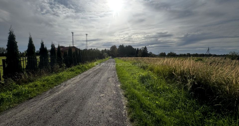Zdjęcie 3