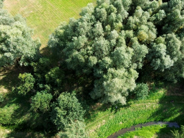 Działka inna Przyszowice