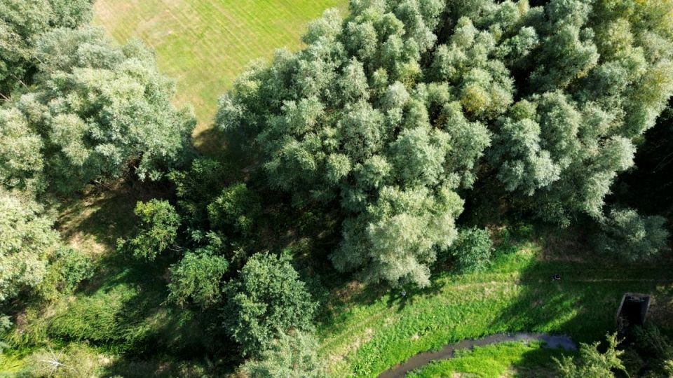 Działka inna Przyszowice