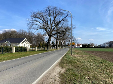 Działka siedliskowa Żerniki Małe