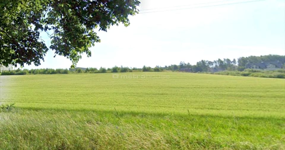 Zdjęcie 3