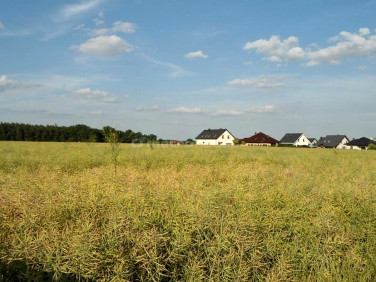 Działka budowlana Szczytniki sprzedam