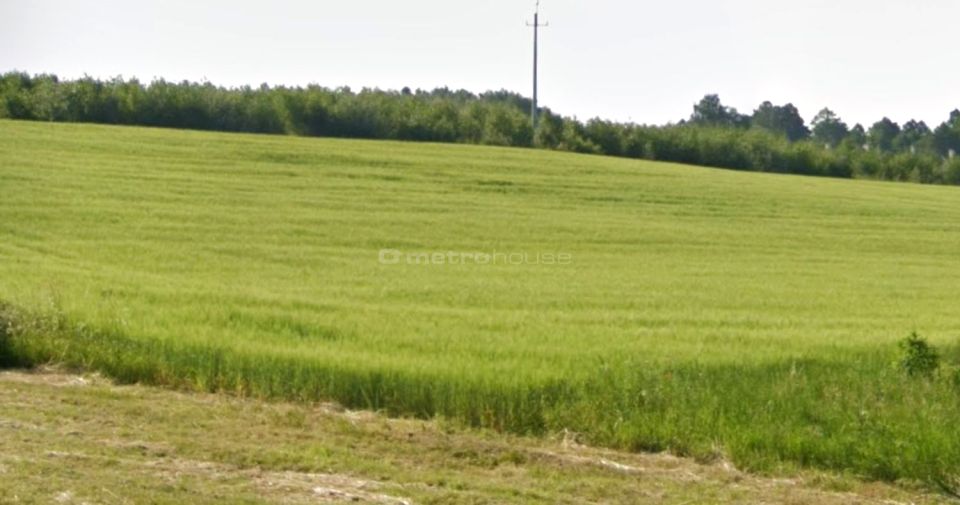 Zdjęcie 2