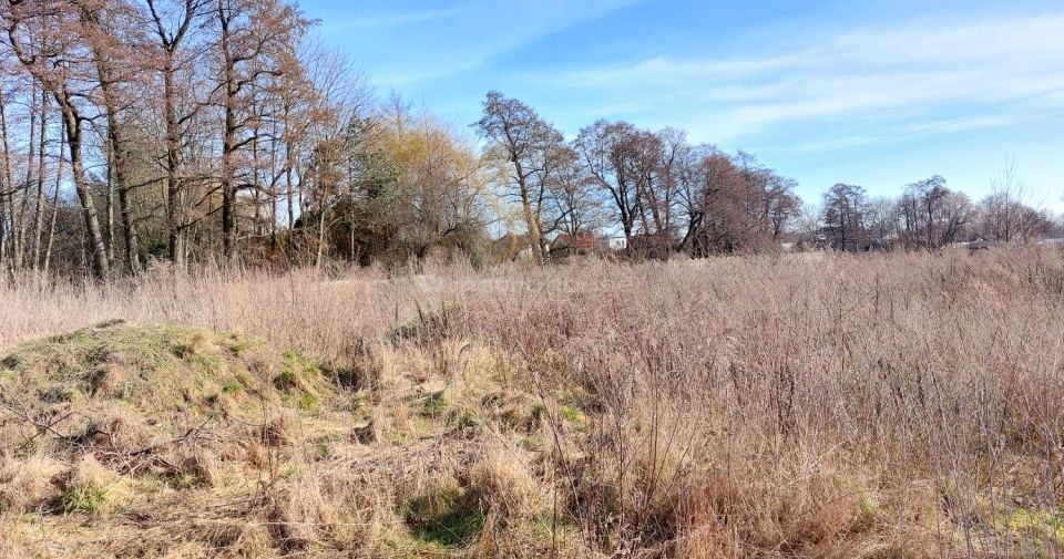 Zdjęcie 3