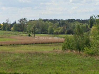 Działka Rogierówko