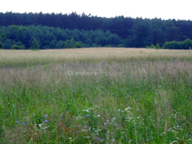 Działka rolna sprzedam