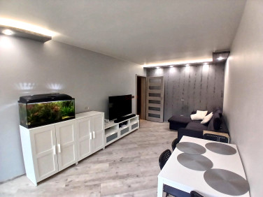 Mieszkanie Łódź sprzedaż