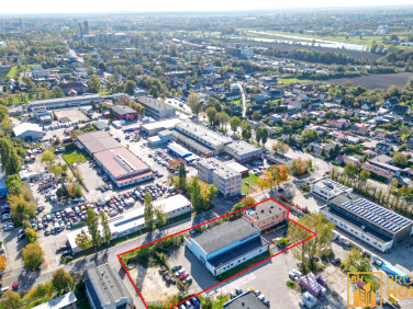 Lokal Opole