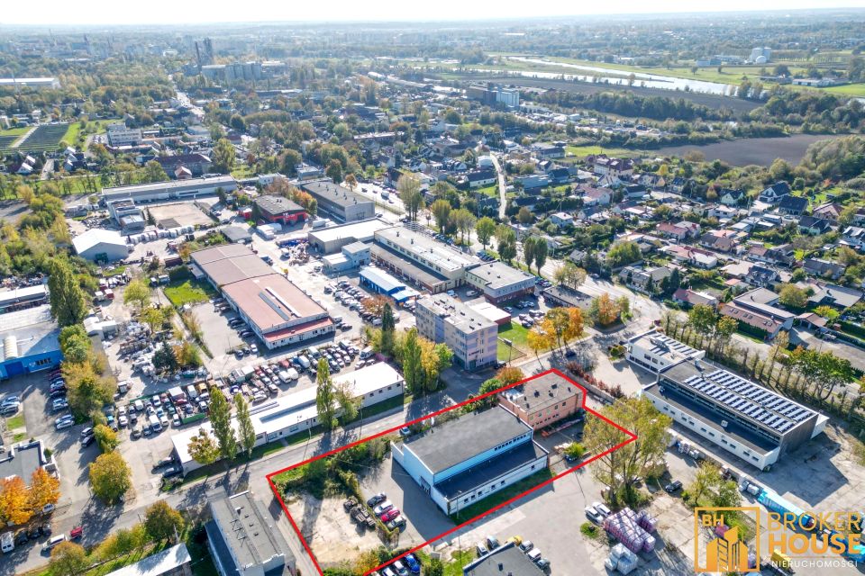 Lokal Opole