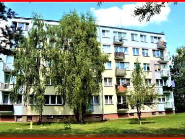 Mieszkanie Ostrołęka