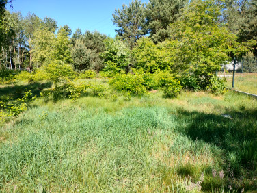 Działka budowlana Sułów