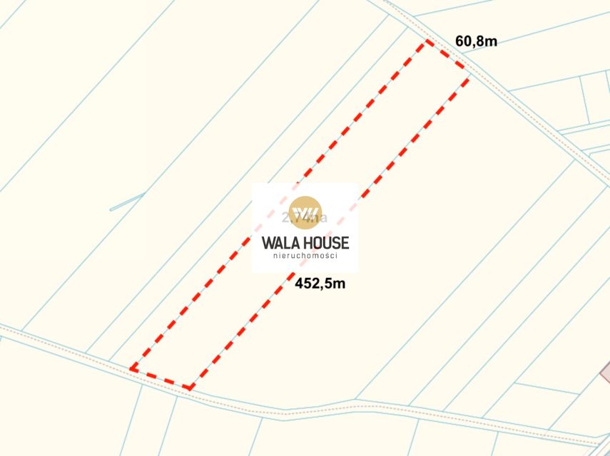 Działka rolna Bielice