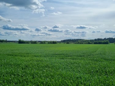 Działka budowlana Grudna