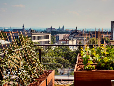 Lokal Kraków