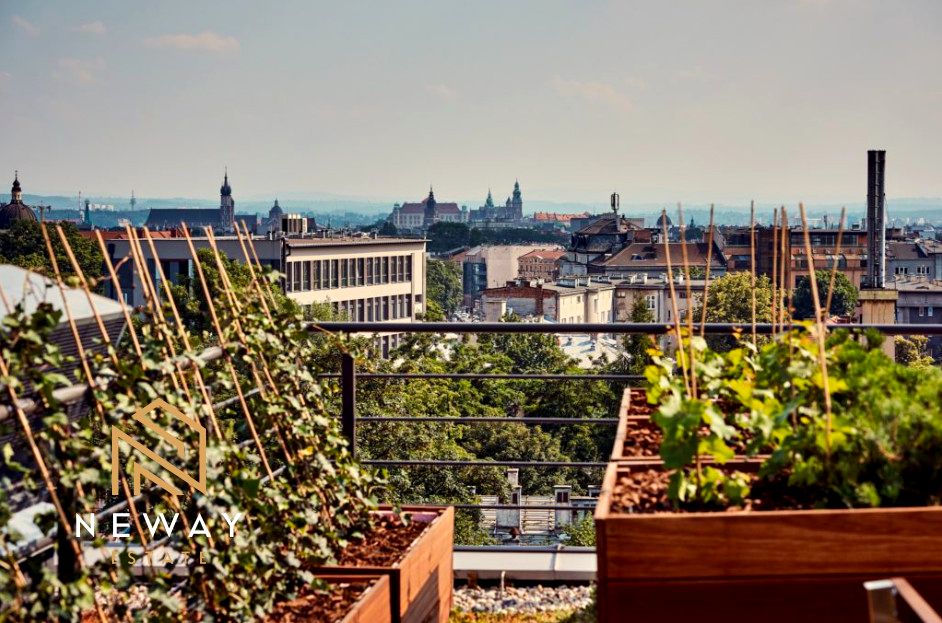 Lokal Kraków