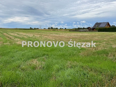 Działka rolna Lutynia