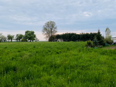 Działka rolna Wrzępia