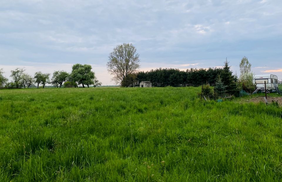 Działka rolna Wrzępia