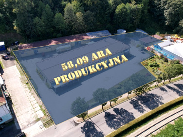 Budynek użytkowy Piwniczna-Zdrój